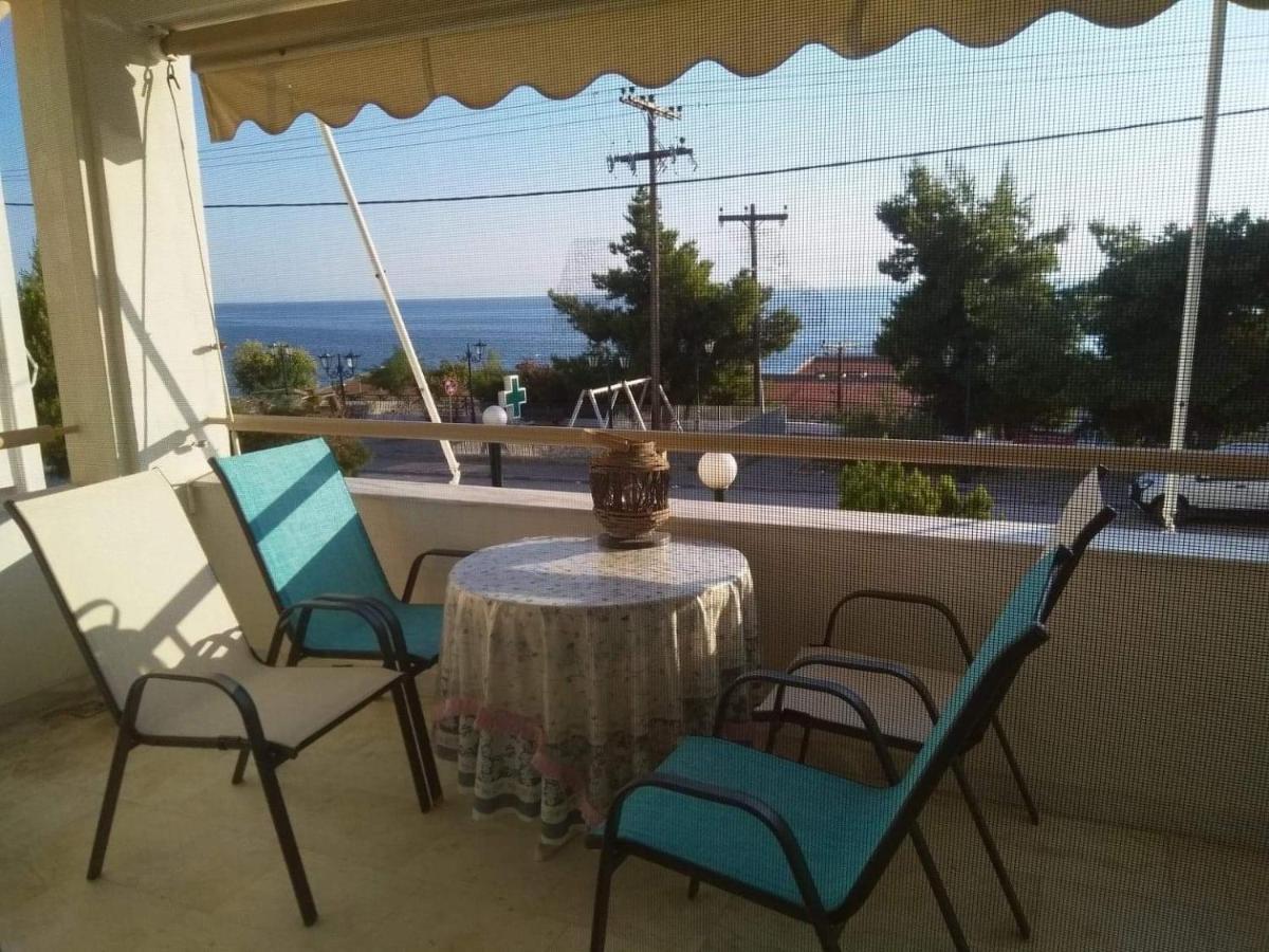 Seaview To Olympus, Sunny, Cosy Apartment 尼亚米卡尼奥纳 外观 照片