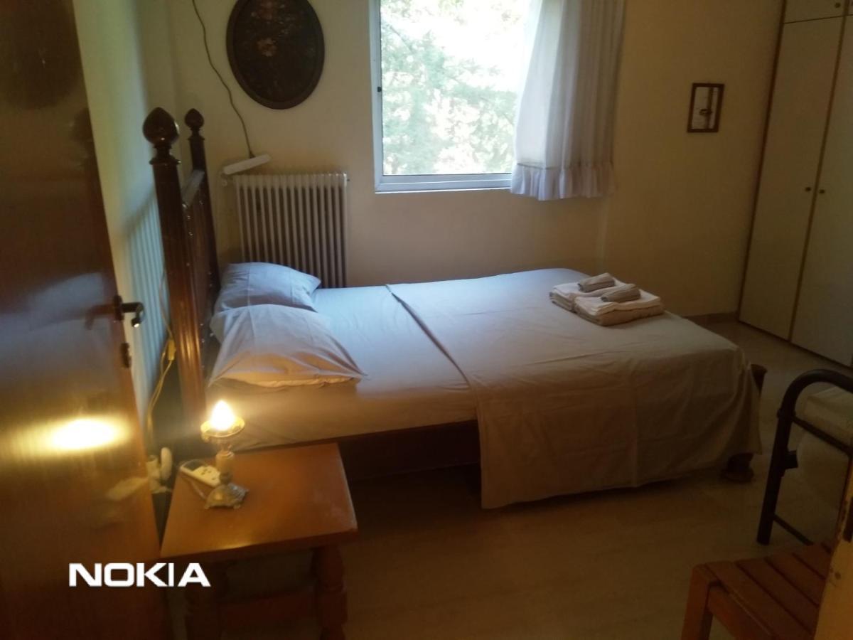 Seaview To Olympus, Sunny, Cosy Apartment 尼亚米卡尼奥纳 外观 照片