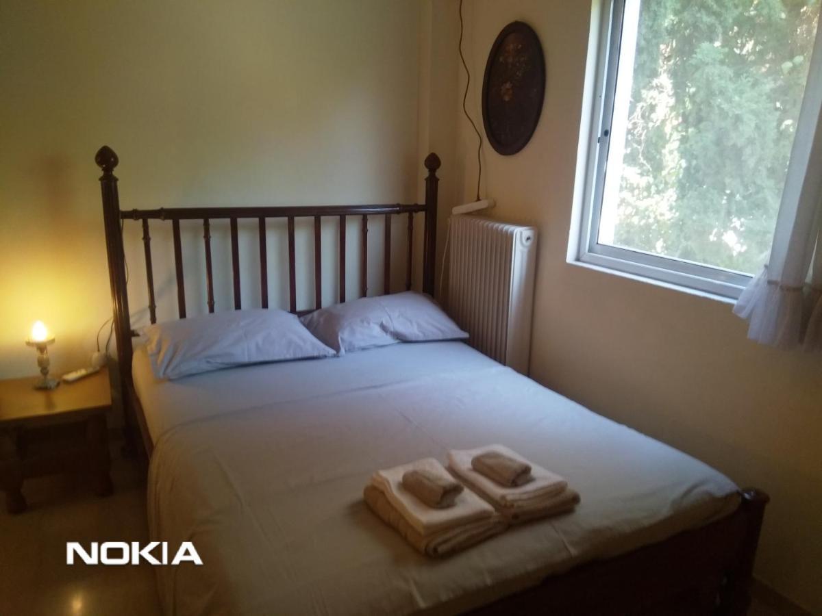 Seaview To Olympus, Sunny, Cosy Apartment 尼亚米卡尼奥纳 外观 照片